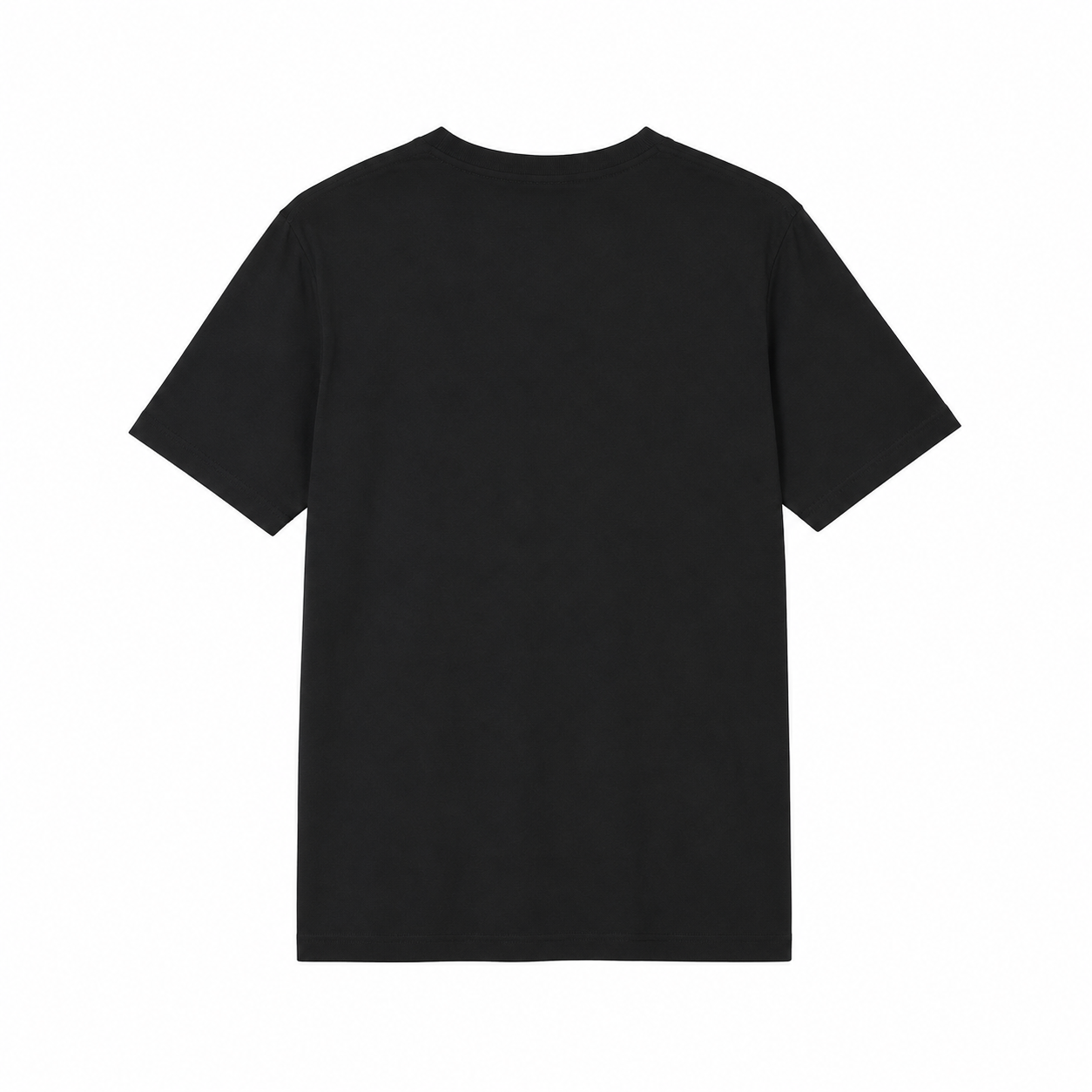 OFFLYN organic core tee black back